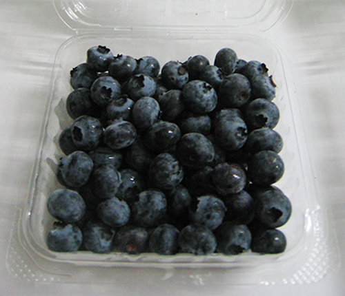 蓝莓鲜果批发